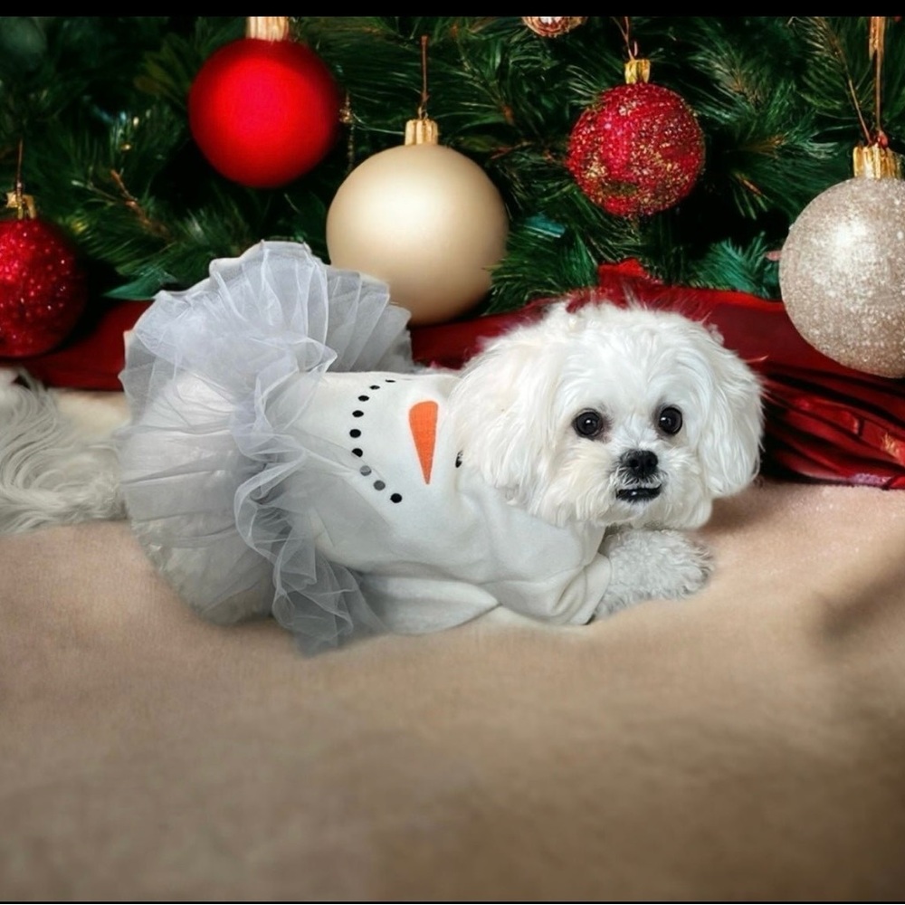 2-Christmas Warm Pet apparel NWT Size-Medium